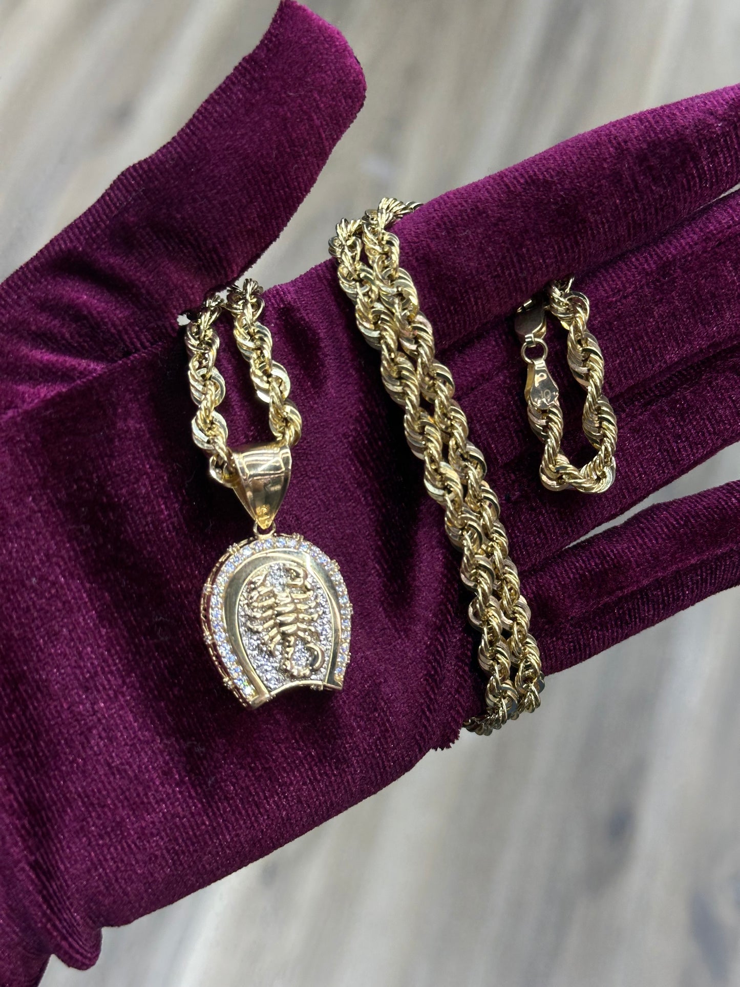 14K Hollow Rope Chain with 14k CZ Scorpion Pendant