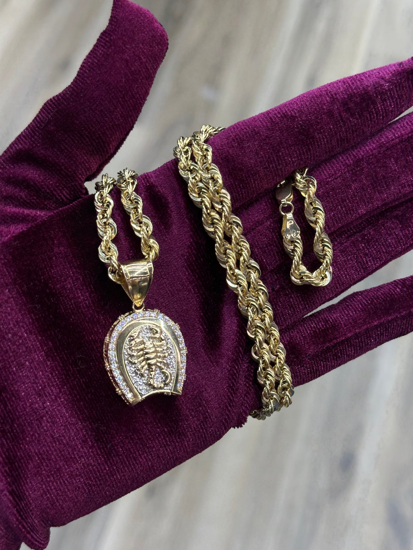 14K Hollow Rope Chain with 14k CZ Scorpion Pendant